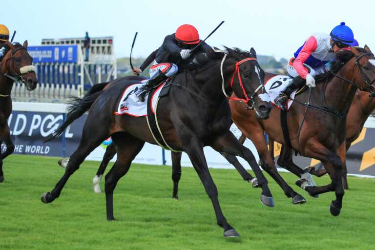 Hollywoodbets Durban July 1st Declarations