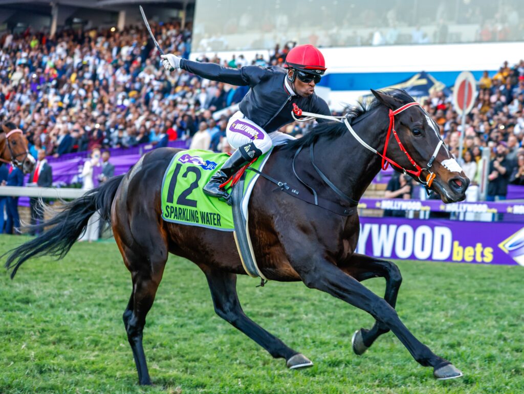 Hollywoodbets Durban July final field