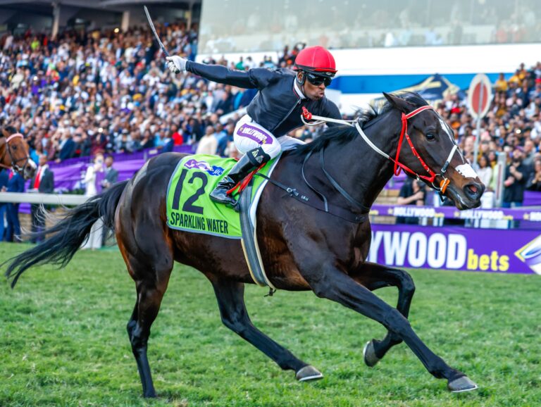 Hollywoodbets Durban July final field