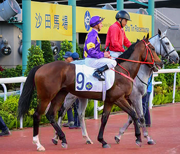 Hong Kong: Helios Express To Blaze To Glory
