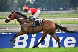 Houdalakis could make his own luck