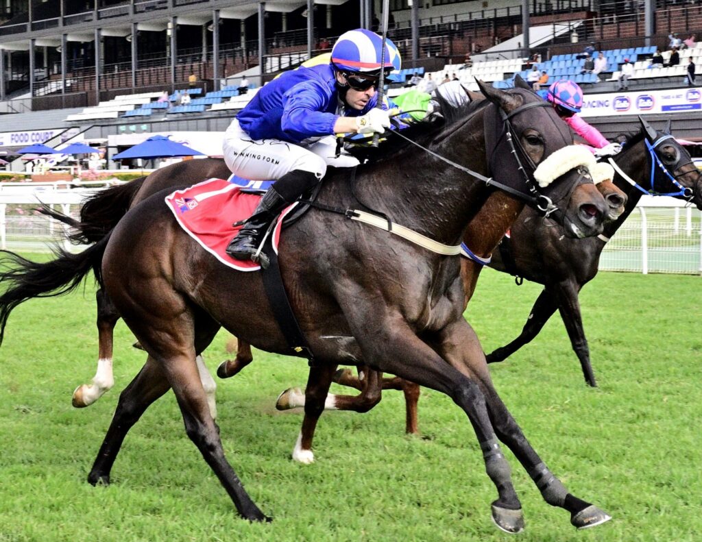 Houdalakis to view what’s on the horizon