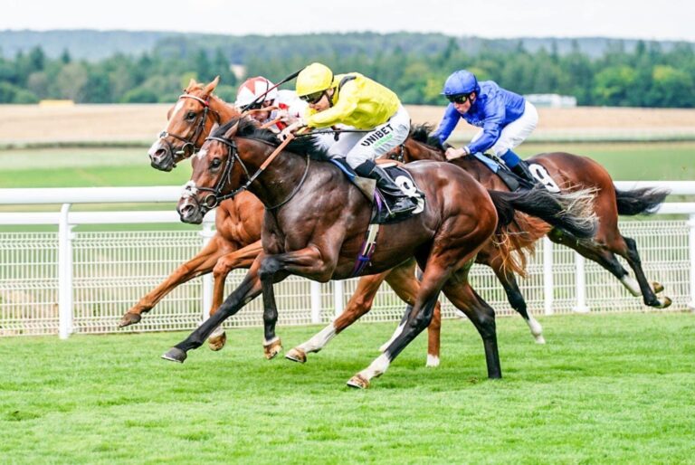 Hungry For Success With Marbaan