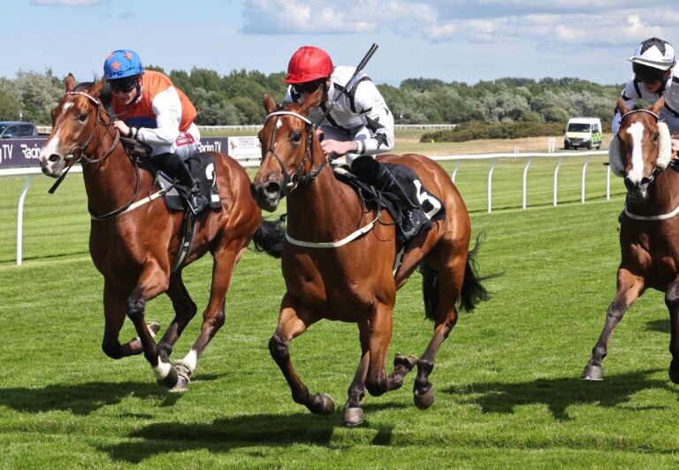 Indication To Show Winning Spirit