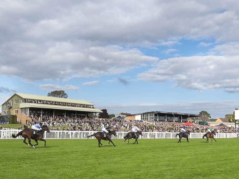 Invincible makes Hereford appeal