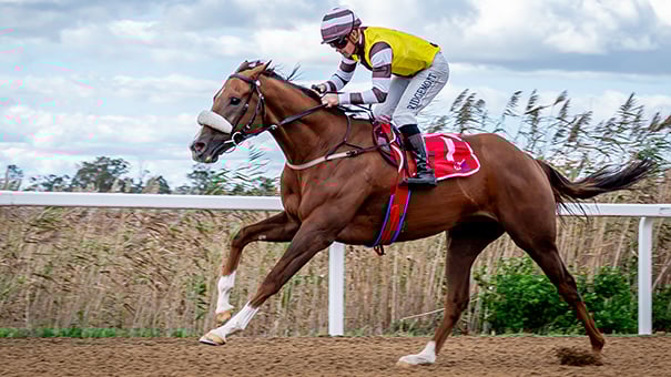 It’s D-Day for Mercantour