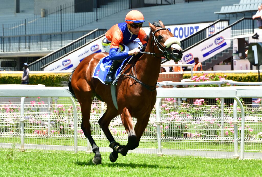 It’s the right time for Orchids