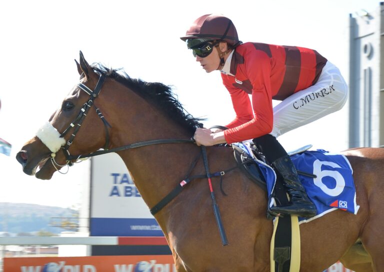 Jan Van is the Guineas man