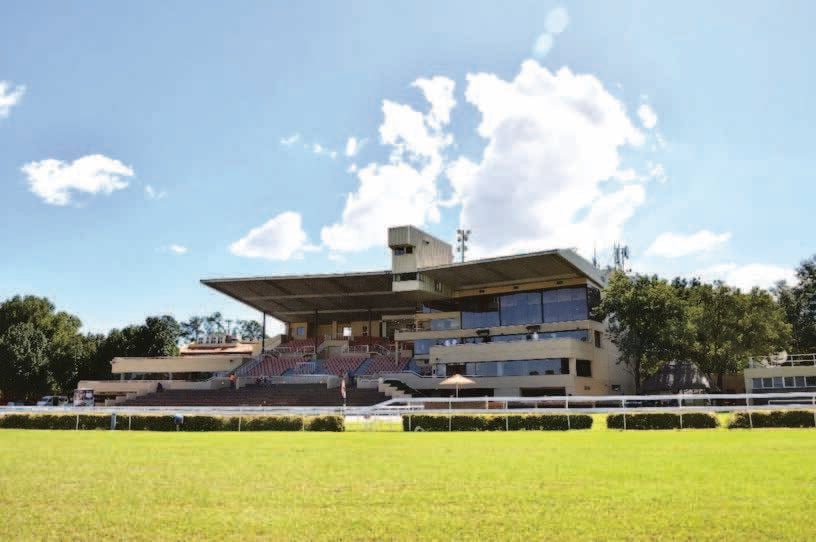 JANUARY RACEMEETING MOVEMENTS