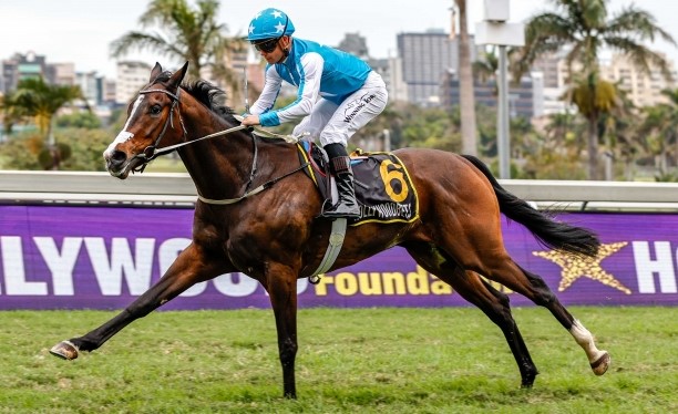 Johnny looks a steal on Greyville Polytrack