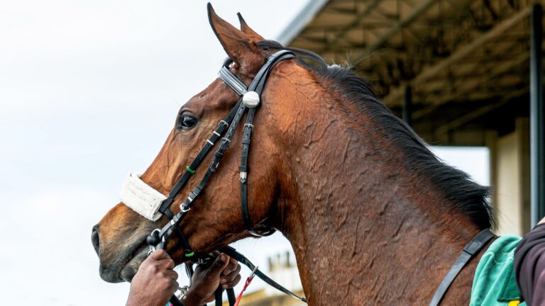 JOY AND PEACE AT FAIRVIEW