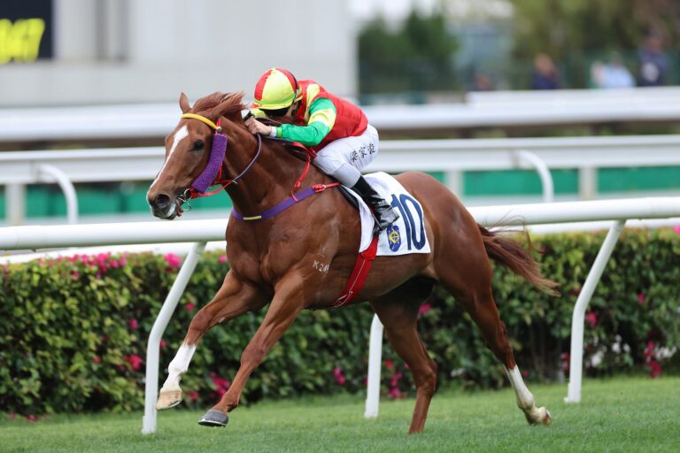 Jumbo Treasure awaits Happy Valley bettors