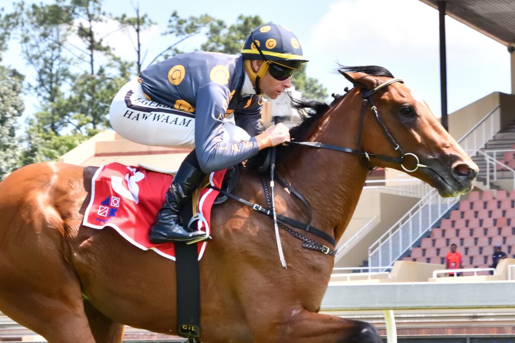 Juvenile Mister Wilson to lead the way