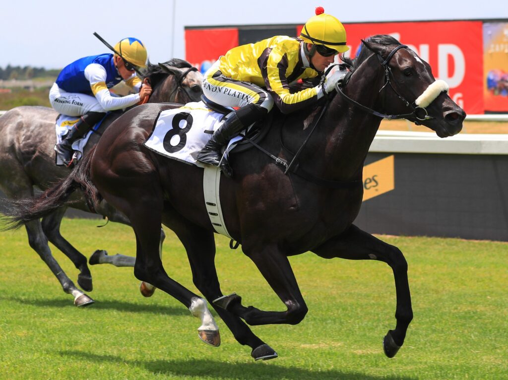 Kannemeyer to leave rivals green with envy