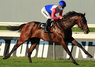 Katak aims for Kranji Mile