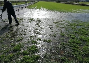 Kenilworth meeting abandoned