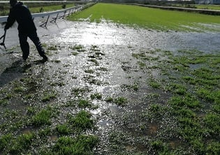 Kenilworth meeting postponed