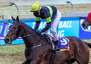 King takes a Trip To Africa