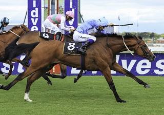 King to deny the Prince – again