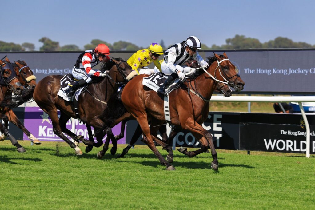 Kingdundee proves Murphy’s Law wrong