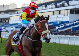 Kings Cup could be a Humdinger