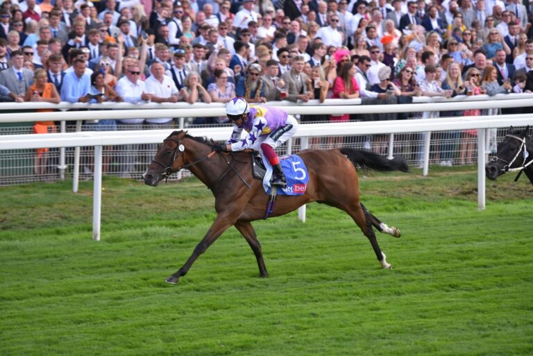 Kinross should be a city slicker at York