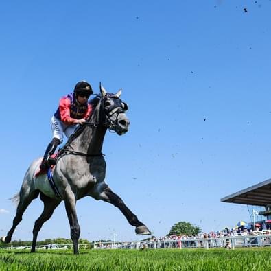 Knight backed to Shine at Sandown