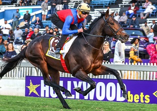 Kommetdieding looking to join select company