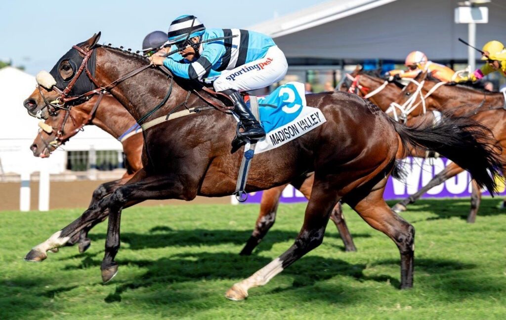 Kotzen has a plan for Madison Valley