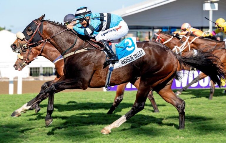 Kotzen has a plan for Madison Valley