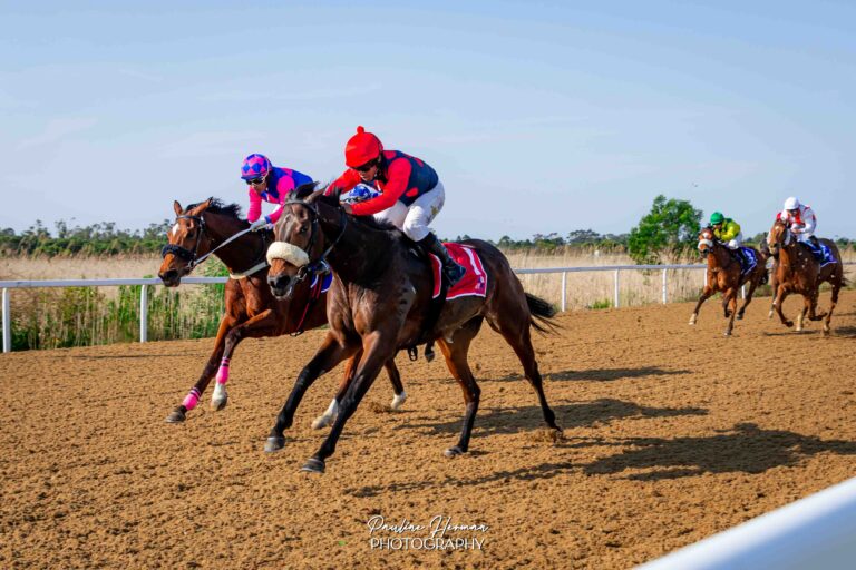 Kotzen-trained mare weighted to win again