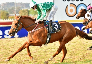 Ladies dominate Summer Cup betting