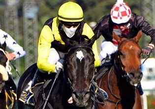 Ladies take centre stage