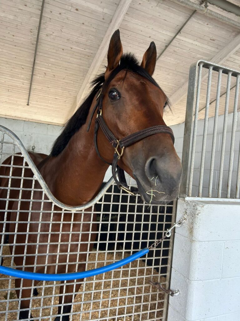 Lerena oozing confidence on One Stripe