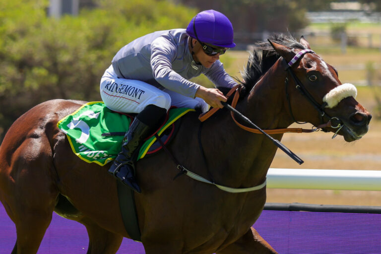 Let It Be Said it’s all about Snaith