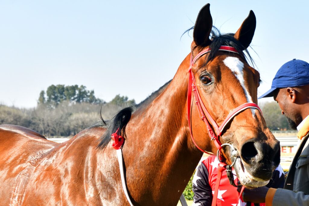 Let’s Go Now to Scottsville