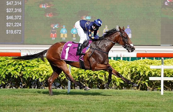 Lightning to strike again in G1 Lion Cup