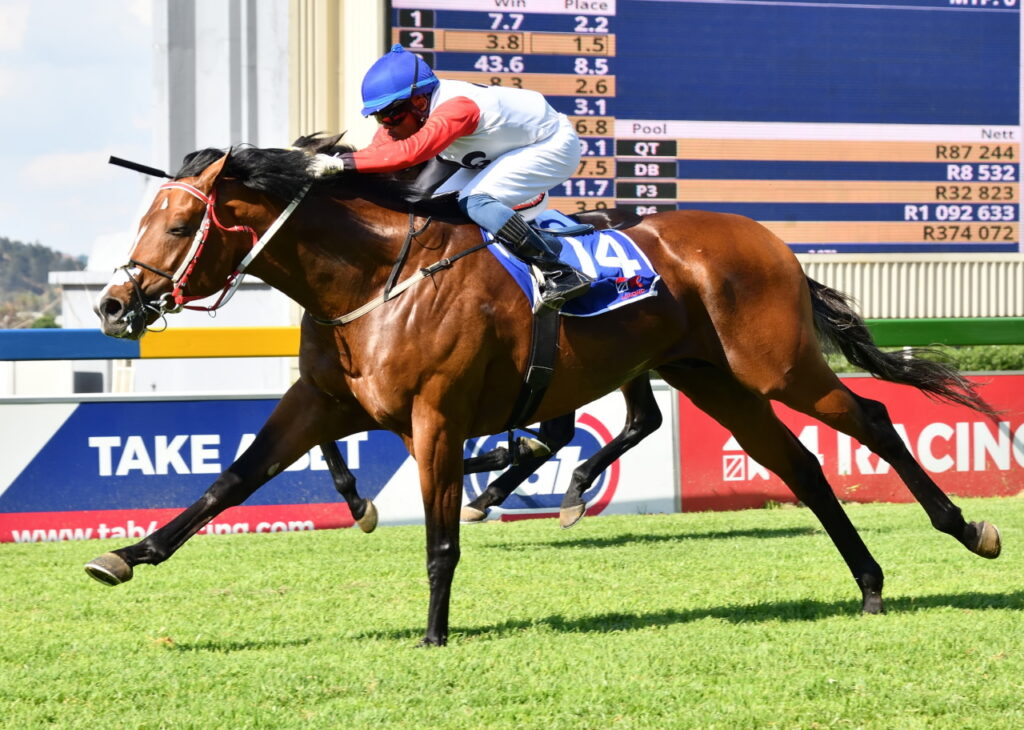 Litigation in the air for Summer Cup