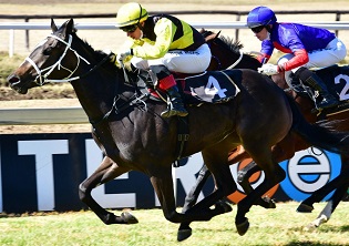 Lollapalooza an attractive bet