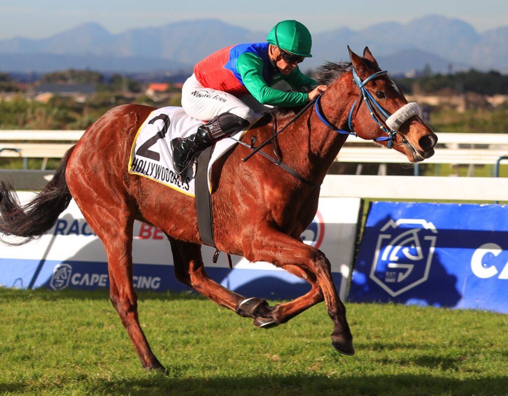 Lots of love in the Cape