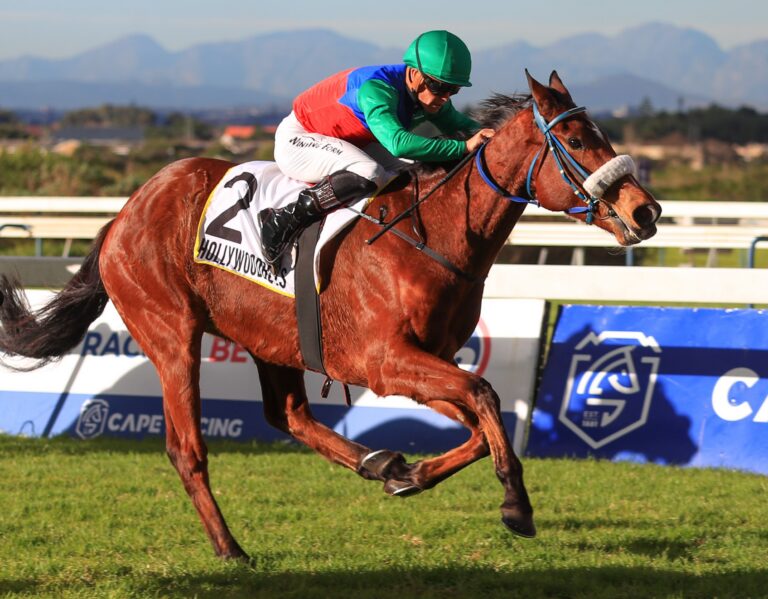 Lots of love in the Cape