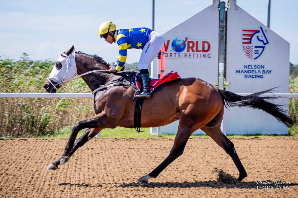 Louie to carry on cruising at Fairview