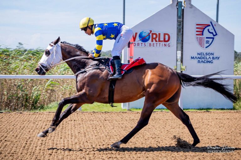 Louie to carry on cruising at Fairview