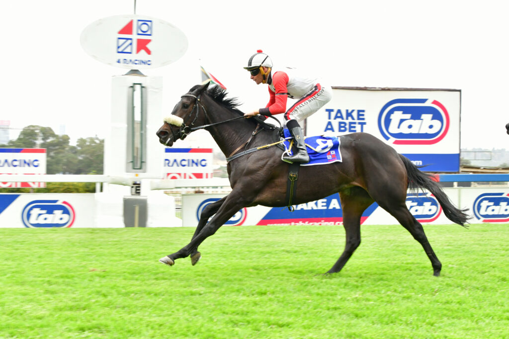 Lovegrass to repay a missed opportunity