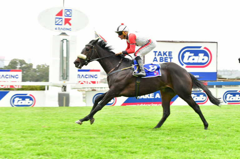 Lovegrass to repay a missed opportunity