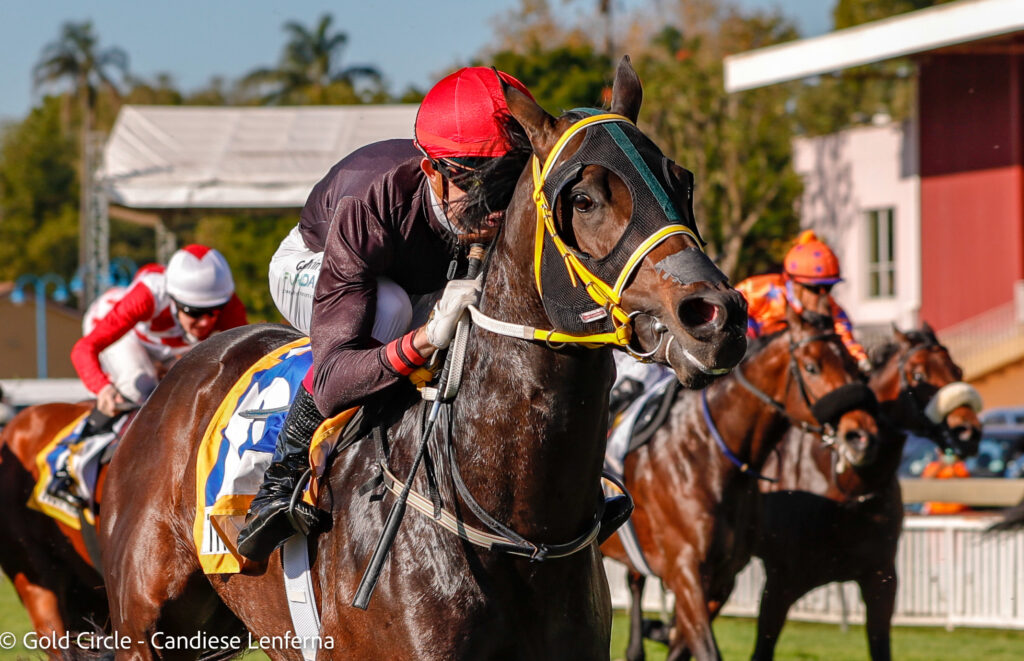 Luck of the draw could decide Graham Beck Stakes