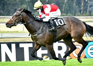 Lucy to touch the sky