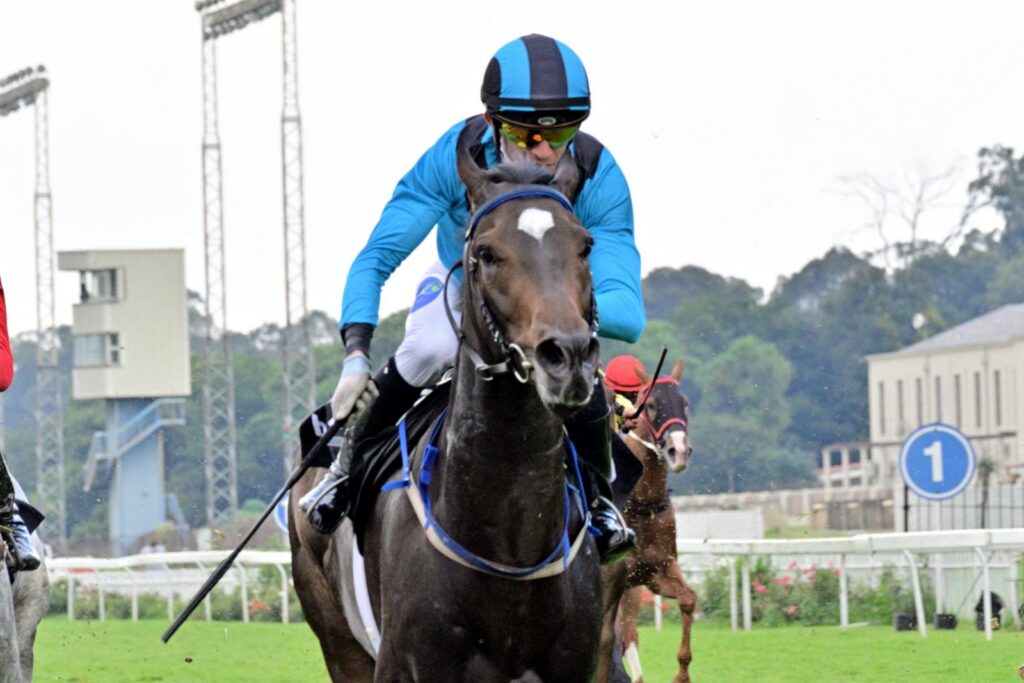 Main Defender stands out in Pinnacle Stakes