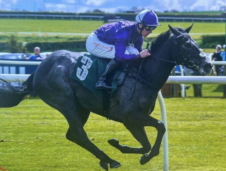 Majestic Chance Of Musselburgh Winner