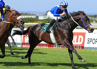 Malmoos Guineas favourite